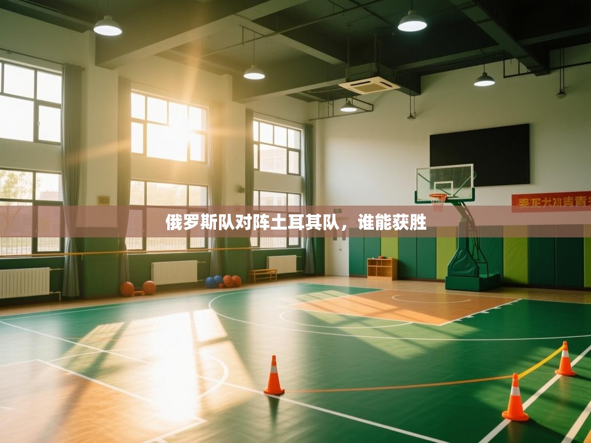 俄罗斯队对阵土耳其队,谁能获胜 第2张